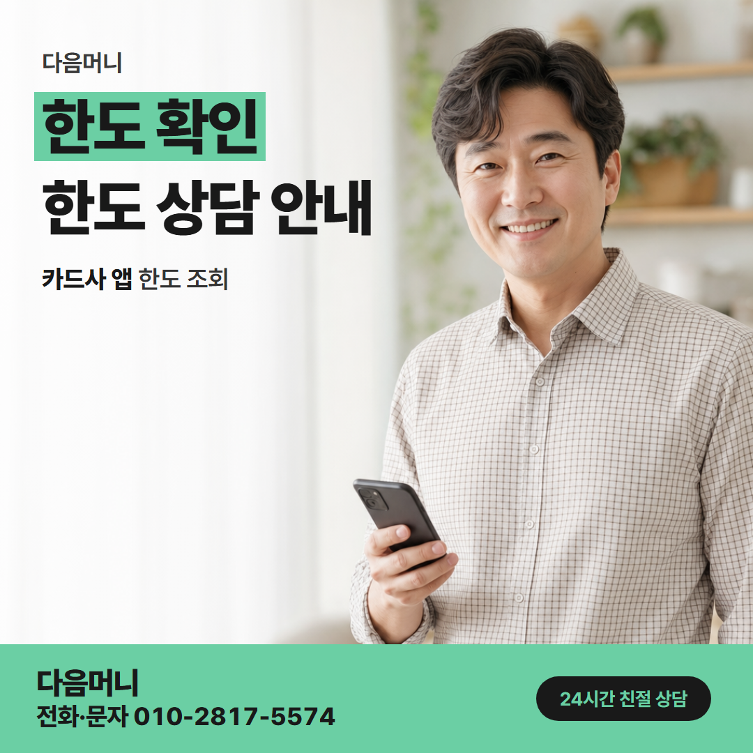 다음머니 앱카드결제 카드사 앱에서 조회한 남은 한도